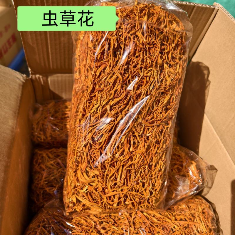 北虫草花散装大货批发袋装北虫草干货食用菌