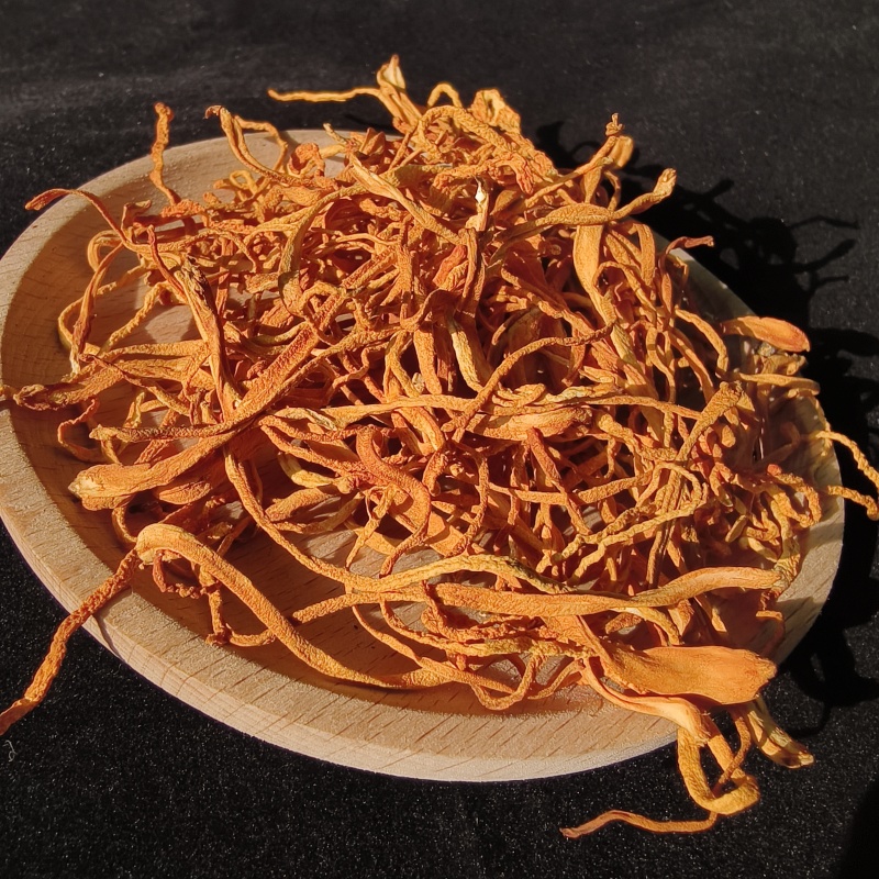 北虫草花散装大货批发袋装北虫草干货食用菌