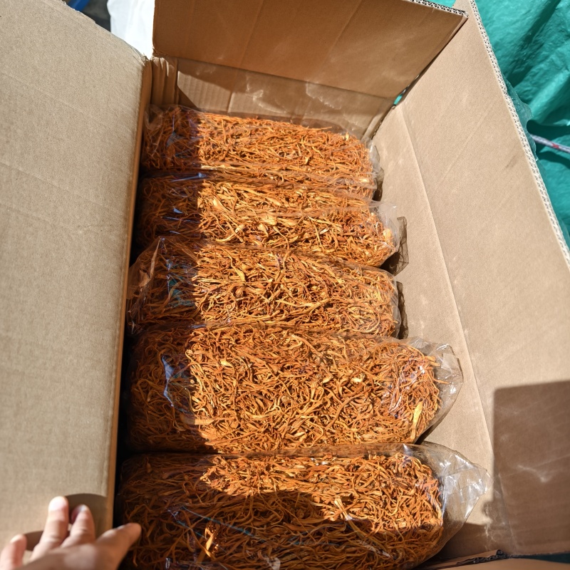 北虫草花散装大货批发袋装北虫草干货食用菌