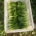 山东临沂郯城精品上海青大量有货供应，质量很好价格低