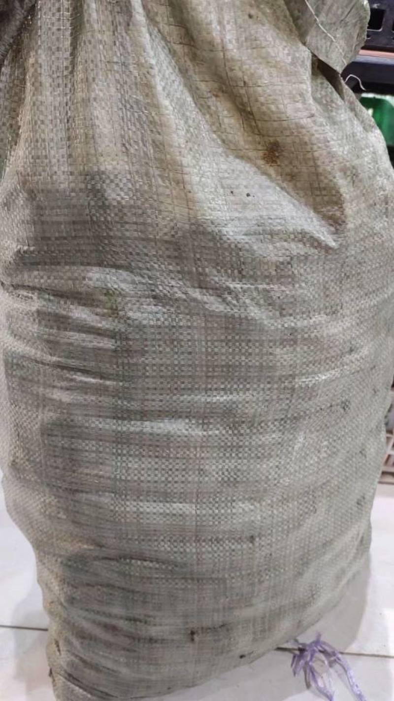 新鲜云南茨菇，中果，一袋50斤，5袋起卖，全国发货