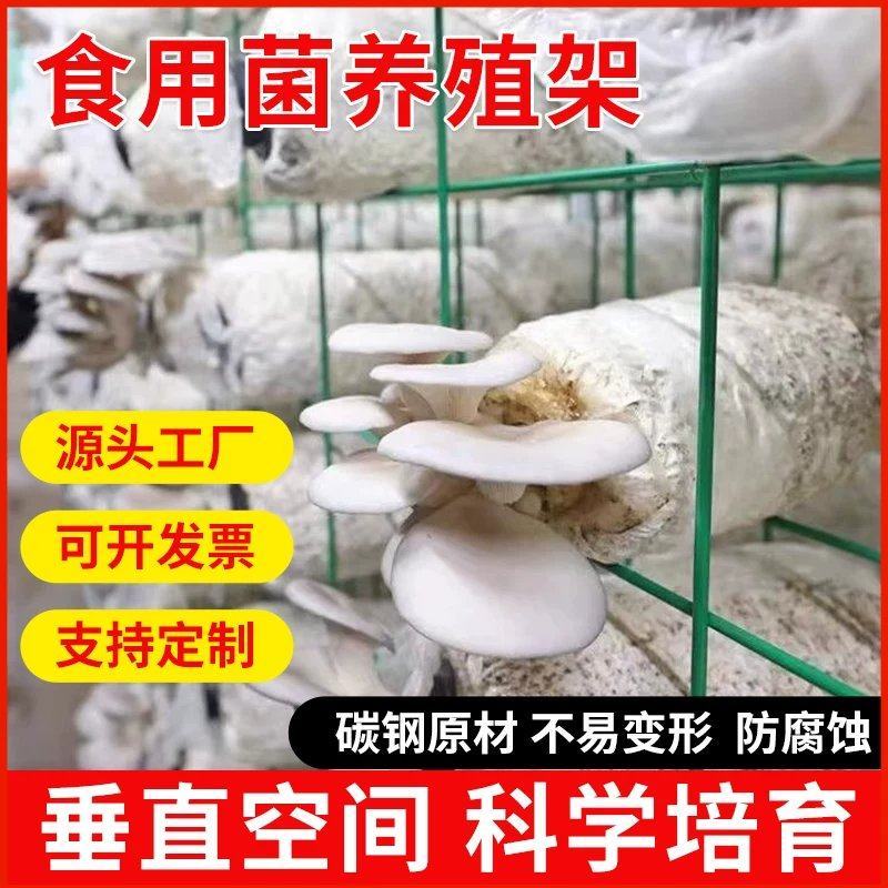 食用菌出菇网格网架蘑菇网片发菌房养菌香菇平针菇种植网架子