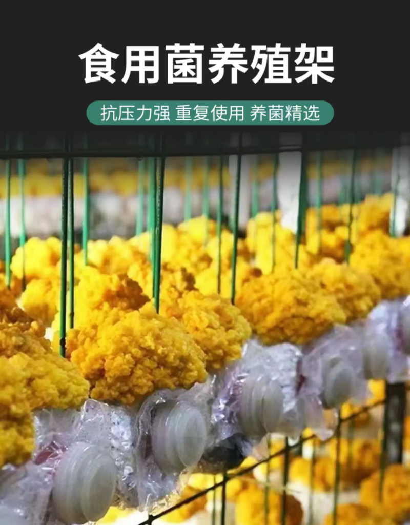 食用菌出菇网格网架蘑菇网片发菌房养菌香菇平针菇种植网架子