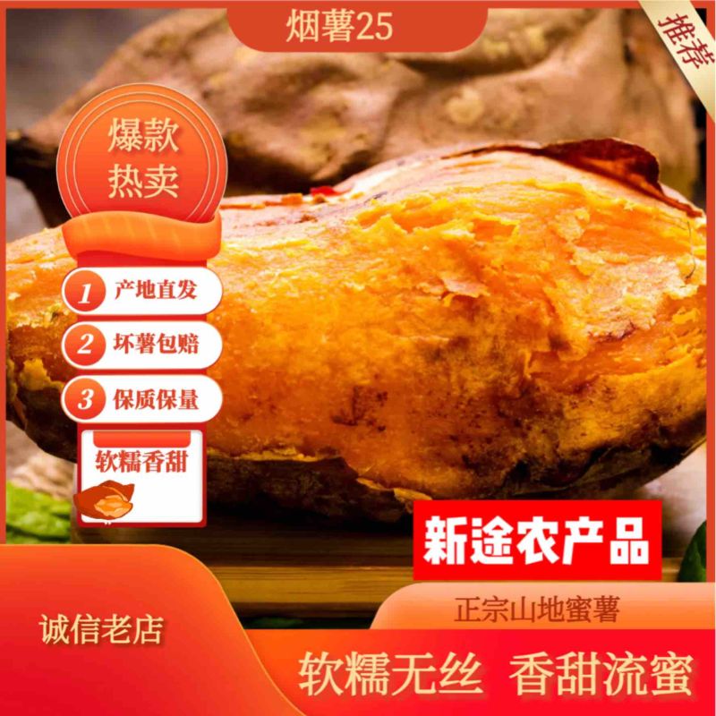 烟薯25蜜薯烤地瓜储存糖化发货批发电商团购无丝