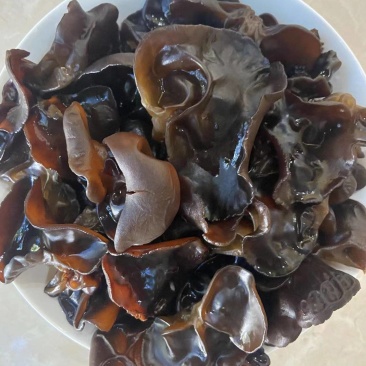 云南高山黑木耳特产干货特级肉厚易泡发