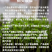 镀锌移动苗床大棚温室植物苗床种植花卉育苗栽培固定架子农业