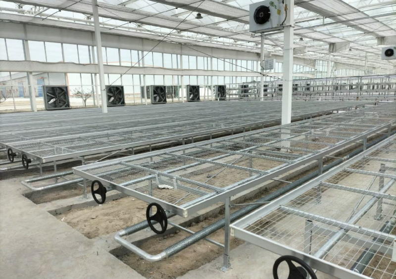 镀锌移动苗床大棚温室植物苗床种植花卉育苗栽培固定架子农业