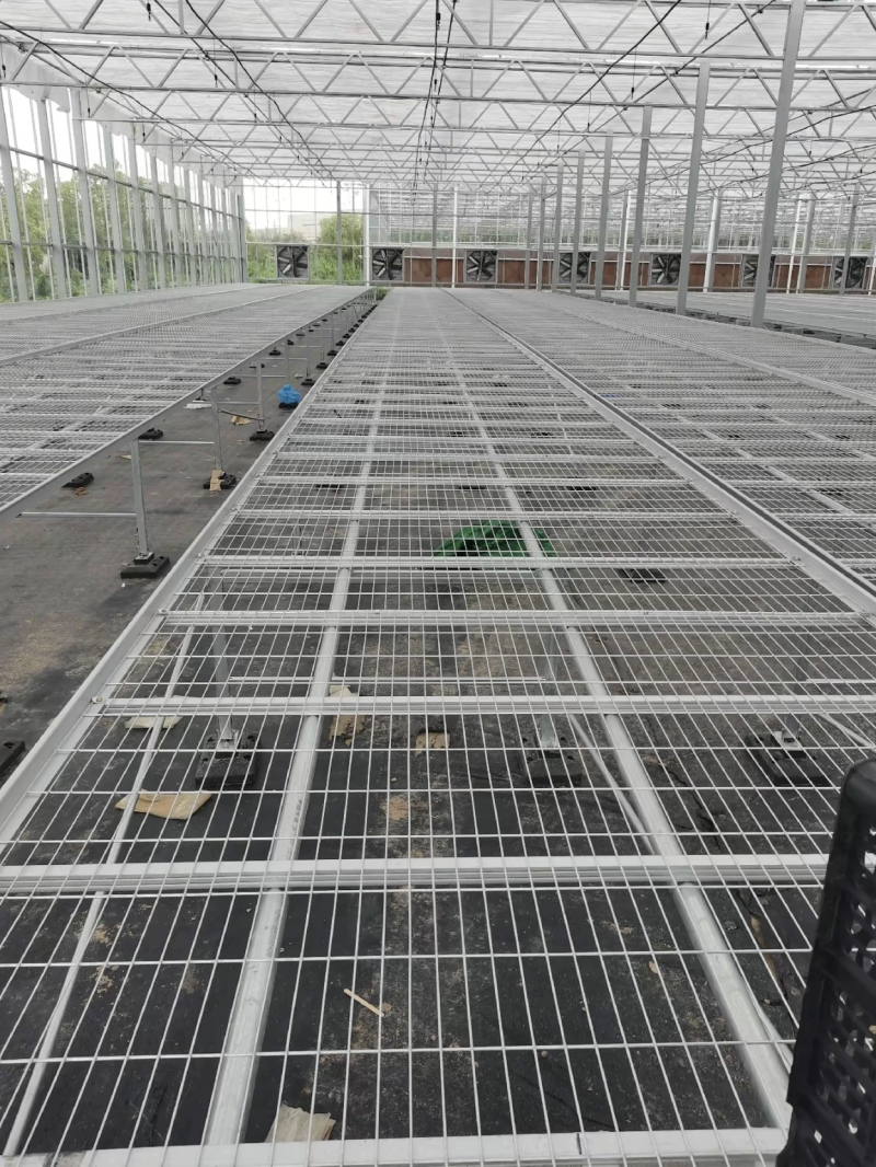 镀锌移动苗床大棚温室植物苗床种植花卉育苗栽培固定架子农业