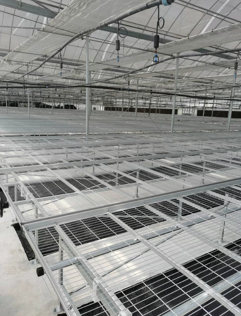 镀锌移动苗床大棚温室植物苗床种植花卉育苗栽培固定架子农业
