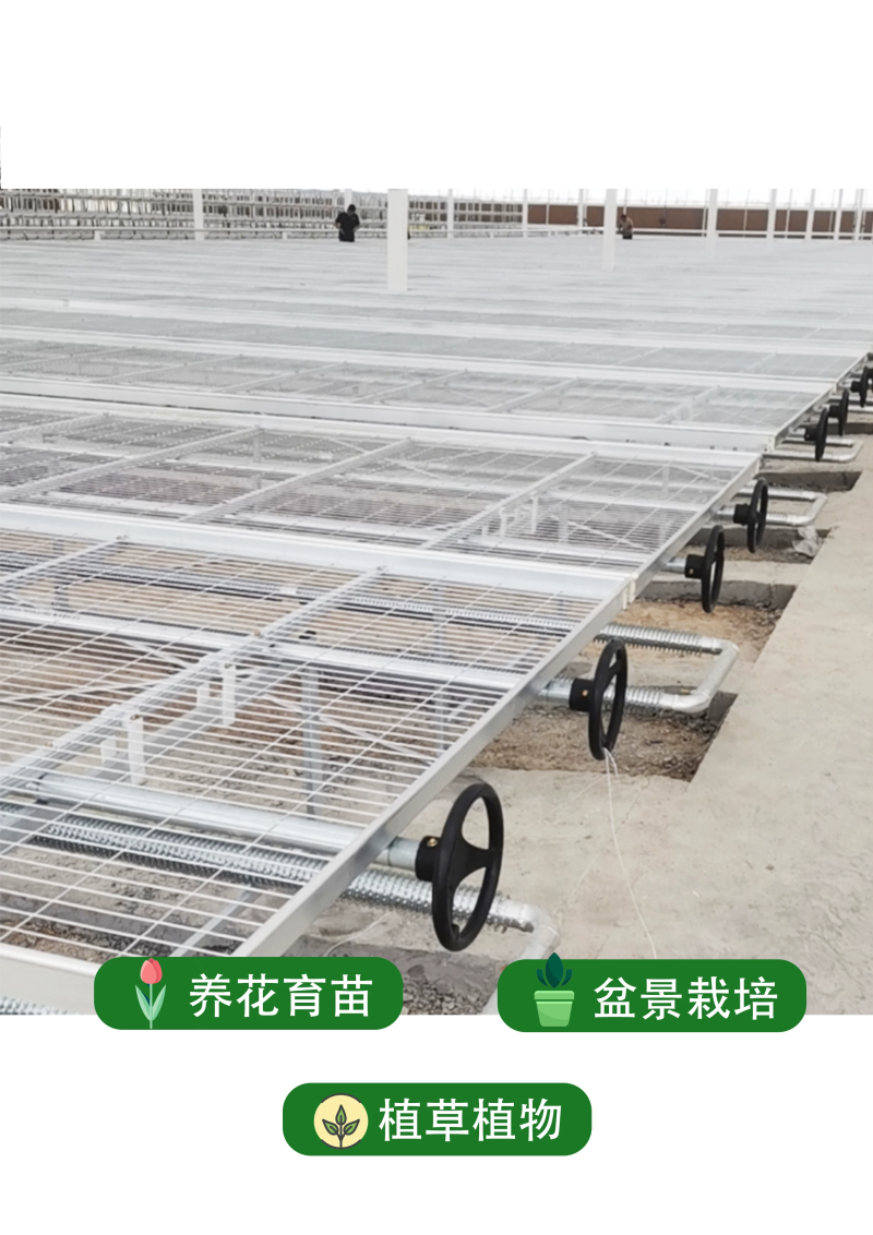 镀锌移动苗床大棚温室植物苗床种植花卉育苗栽培固定架子农业