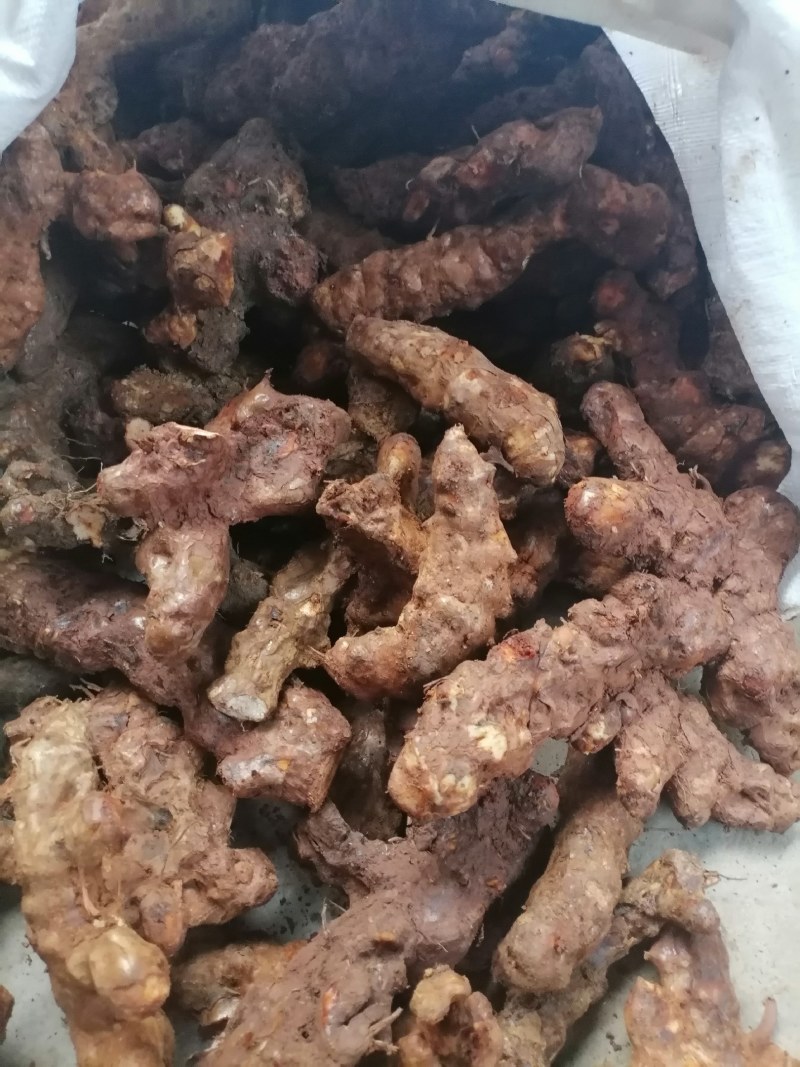 野生白肉土茯苓规格3两以上大土茯苓白肉批发零售