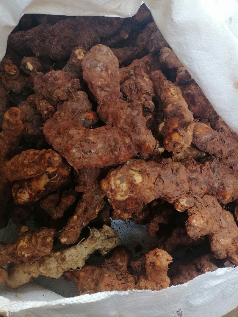 野生白肉土茯苓规格3两以上大土茯苓白肉批发零售