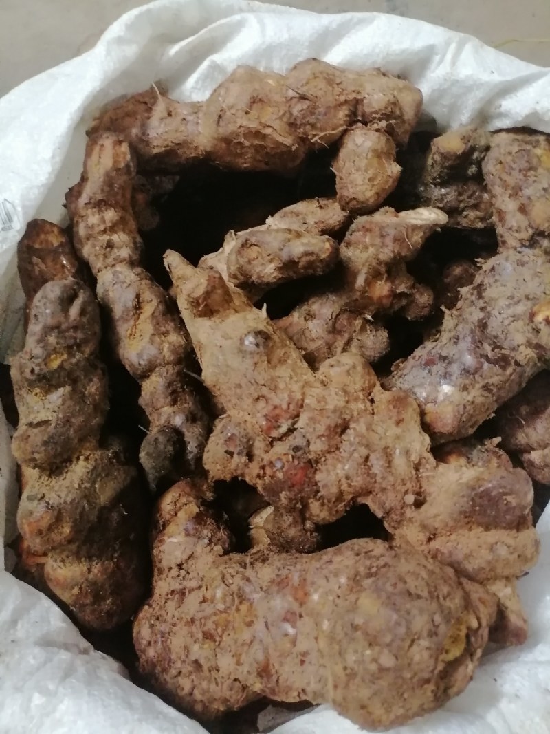 野生白肉土茯苓规格3两以上大土茯苓白肉批发零售