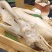 正宗吴山贡鹅卤鹅精品鹅肉贡鹅熟食鹅大众口味安徽特色