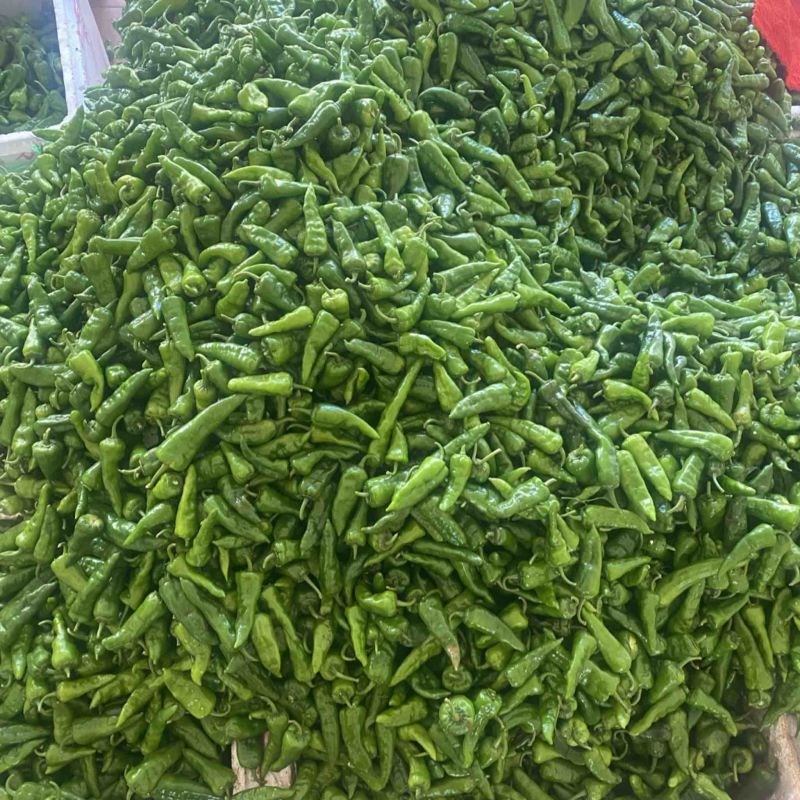 辣椒