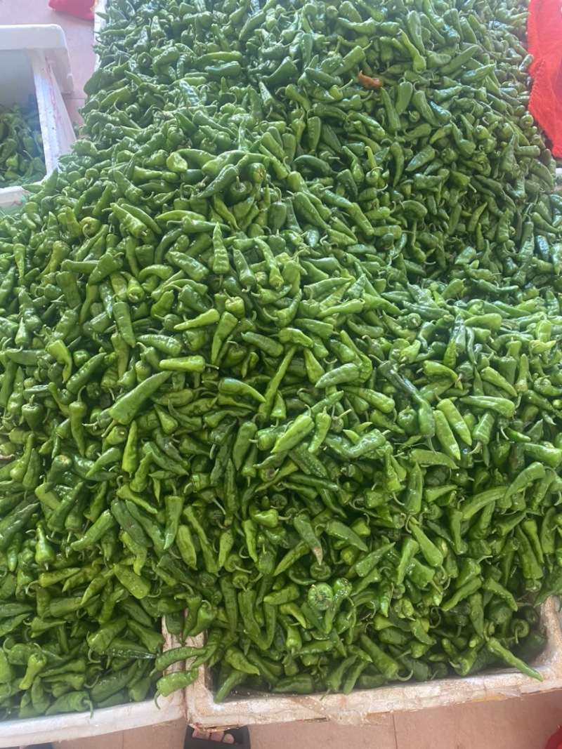 辣椒