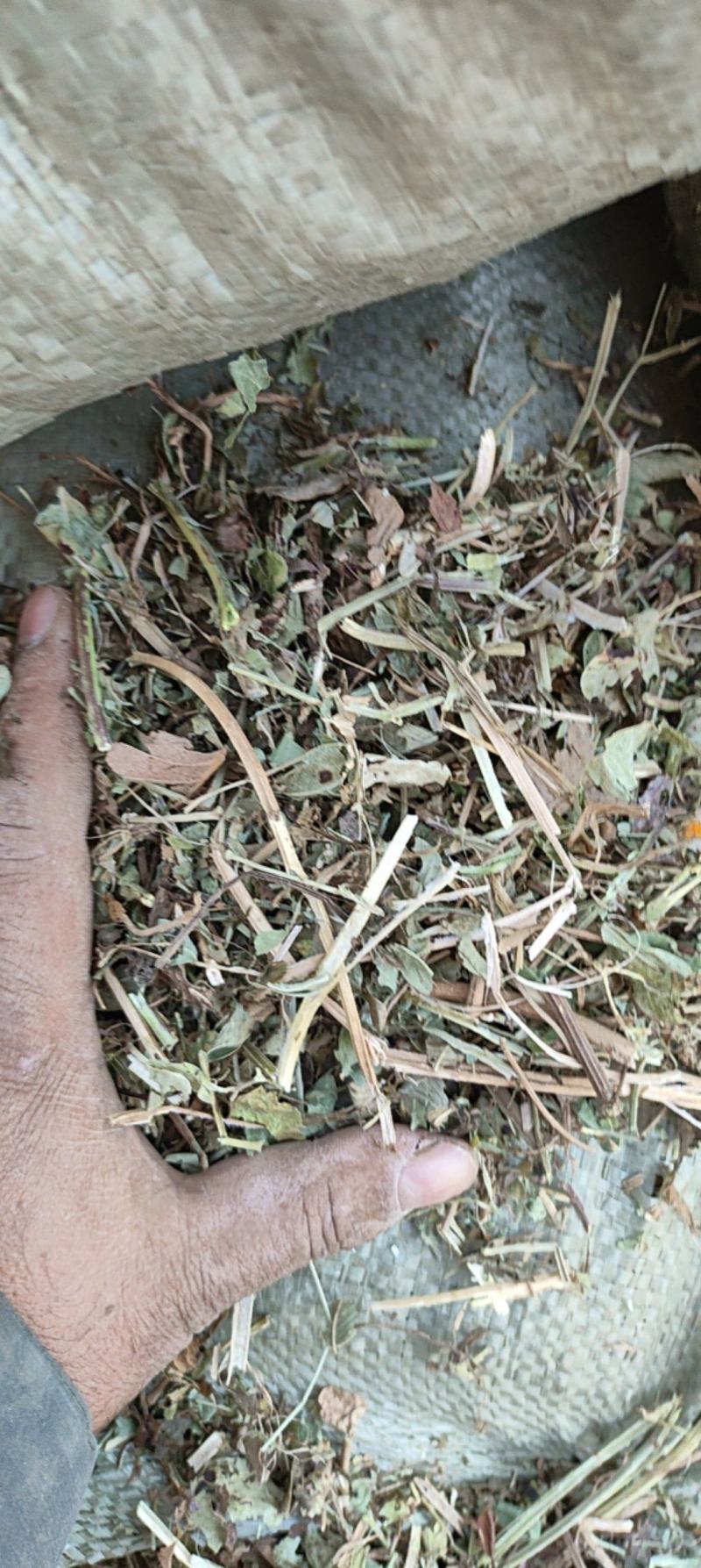 摘果机草过风选机
