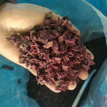 脱水红甜菜丁