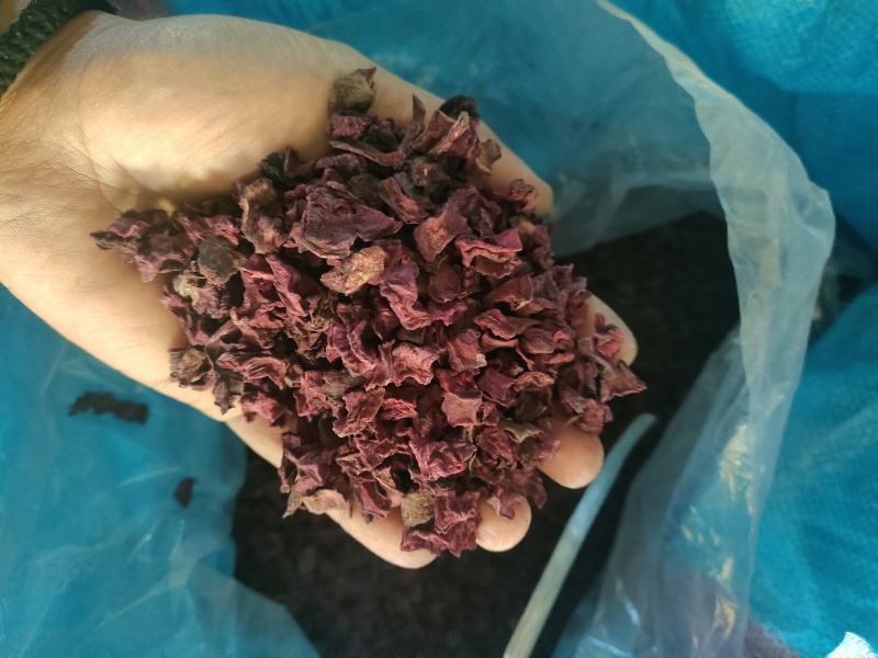 脱水红甜菜丁
