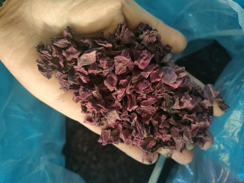 脱水红甜菜丁