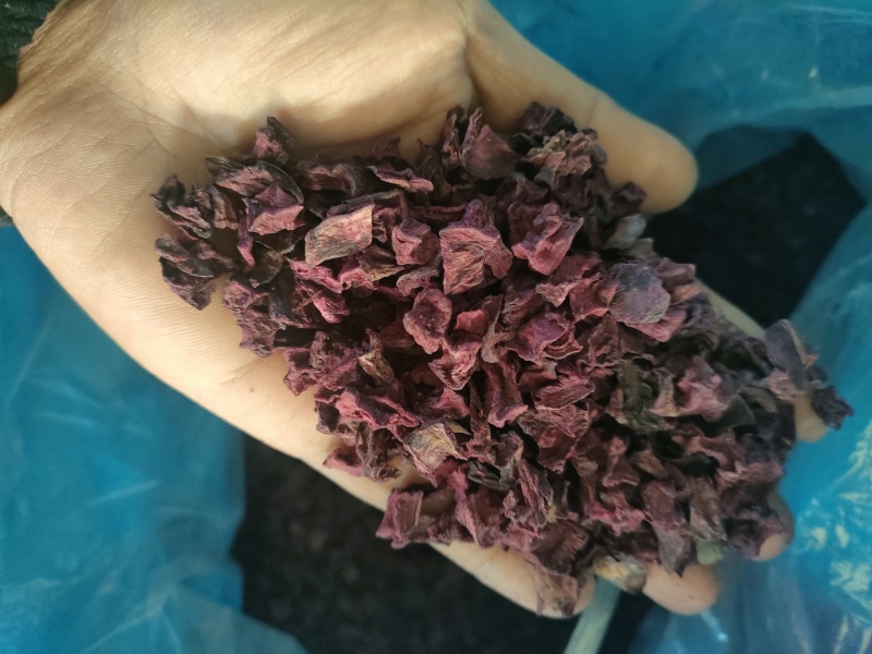 脱水红甜菜丁