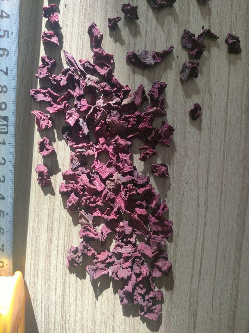 脱水红甜菜丁