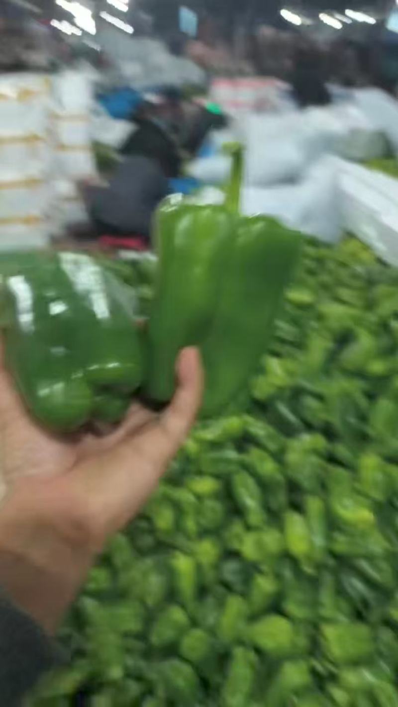 精品太空椒品质上乘支持视频看货欢迎来电洽谈诚信经营