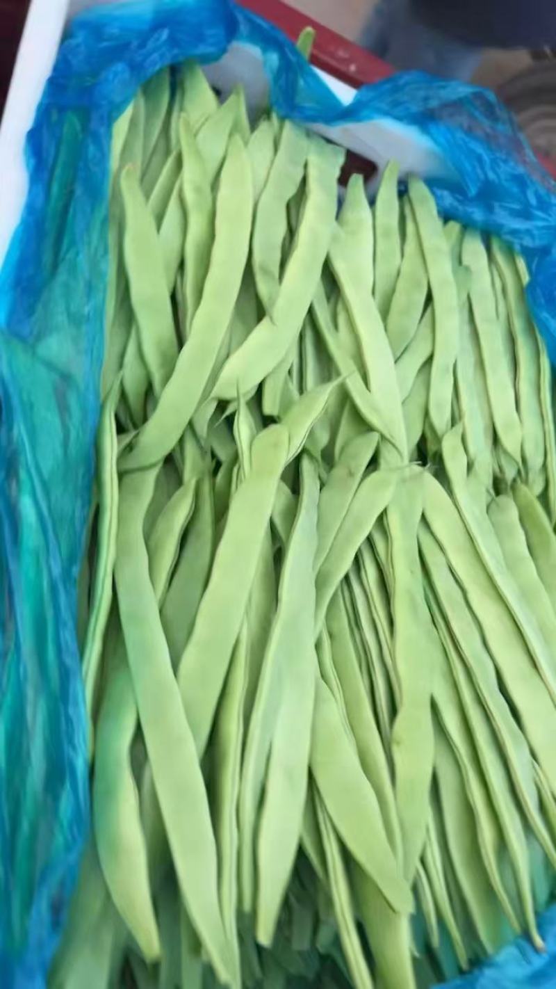 扁豆上市产地直发价格优惠诚信经营支持视频看货来电咨询