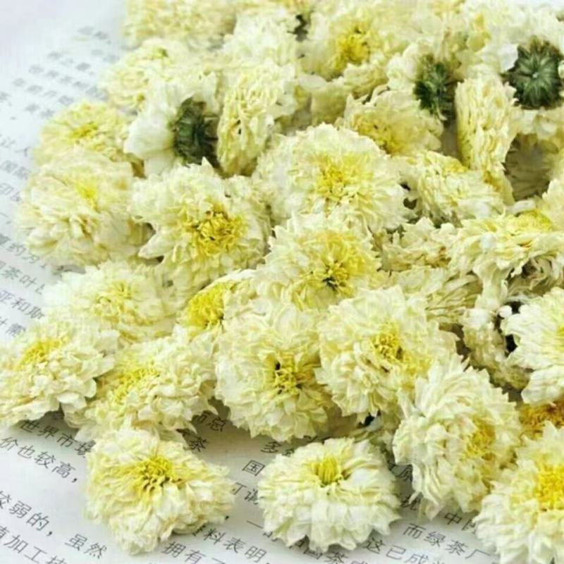 亳菊花