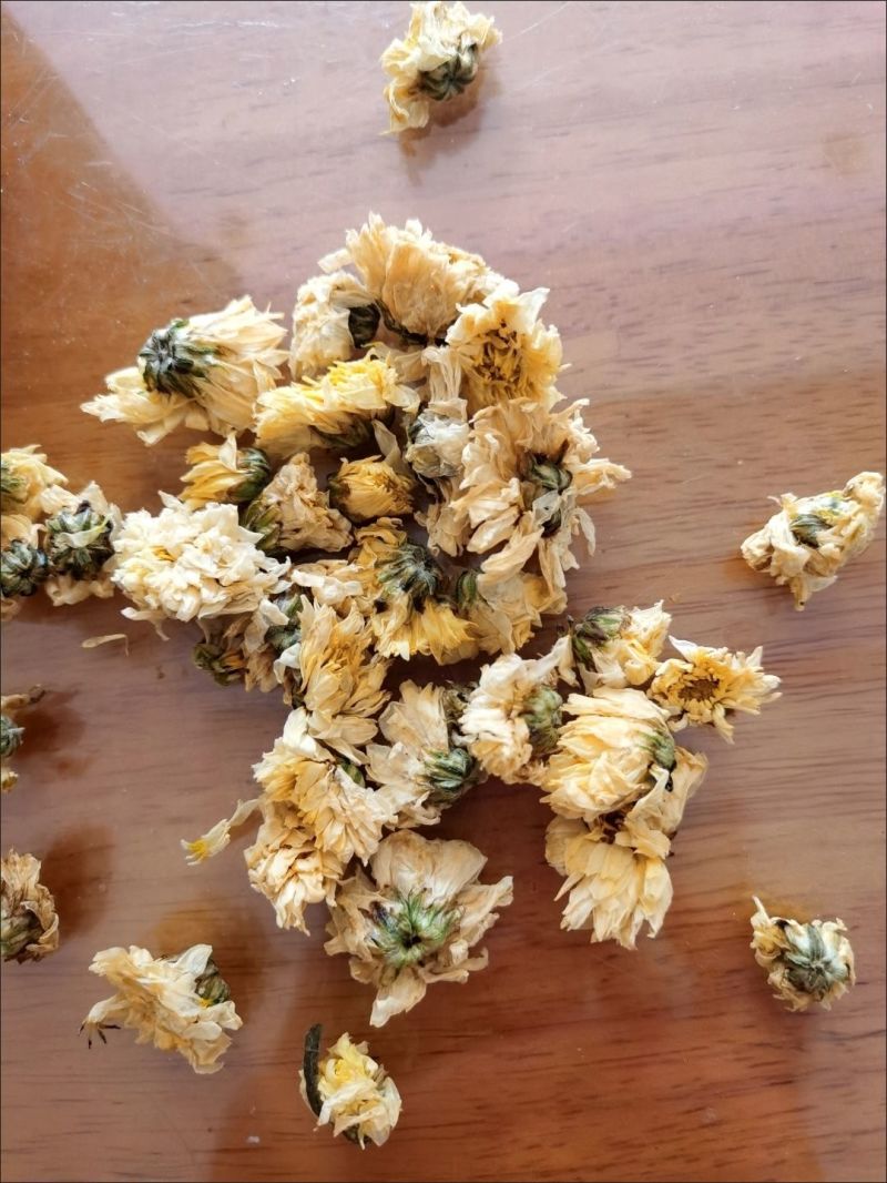 亳菊花