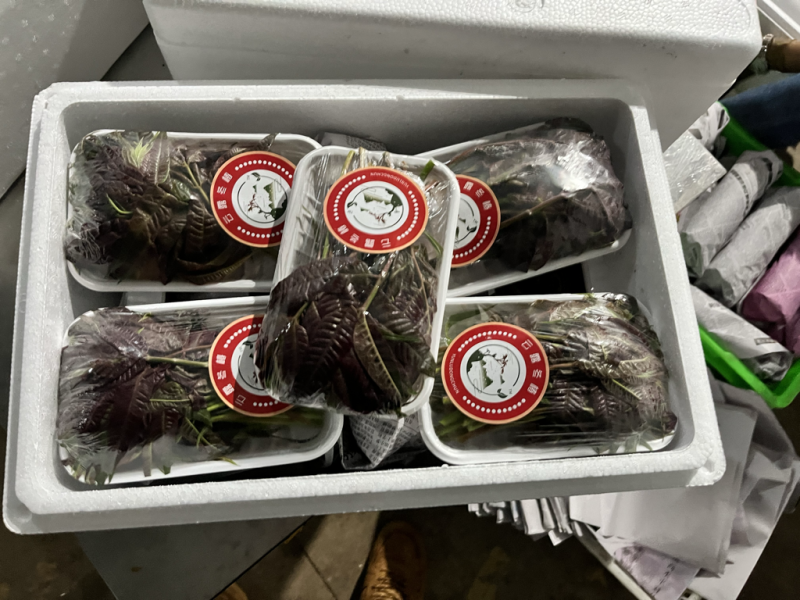 商超供应香椿芽，大量供应产地直发，全国发货欢迎来电咨询洽