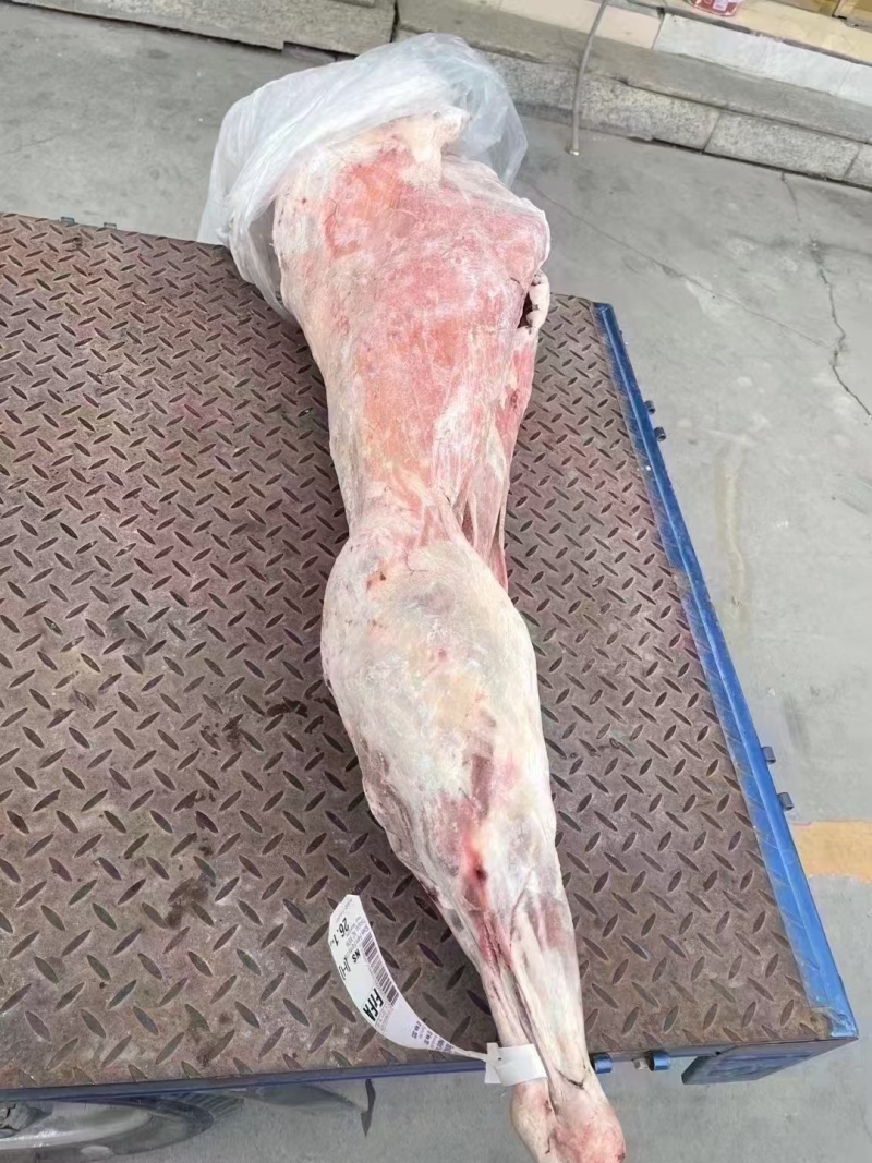 羊酮体，厂家直销，长期供应，量大从优，欢迎各位老板光临。