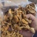 滑子菇大毛干货干菌菇口感佳基地直发运输便利欢迎联系