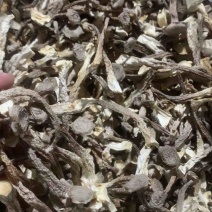 鹿茸菇干货