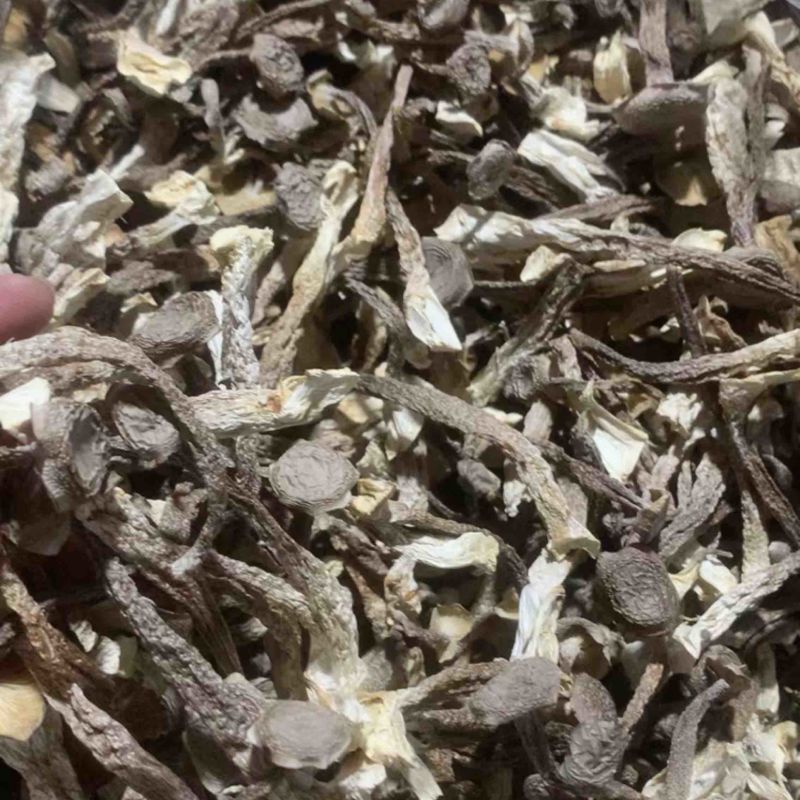 鹿茸菇干货