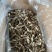 鹿茸菇干货