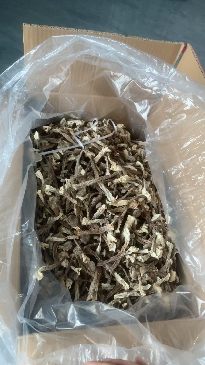 鹿茸菇干货