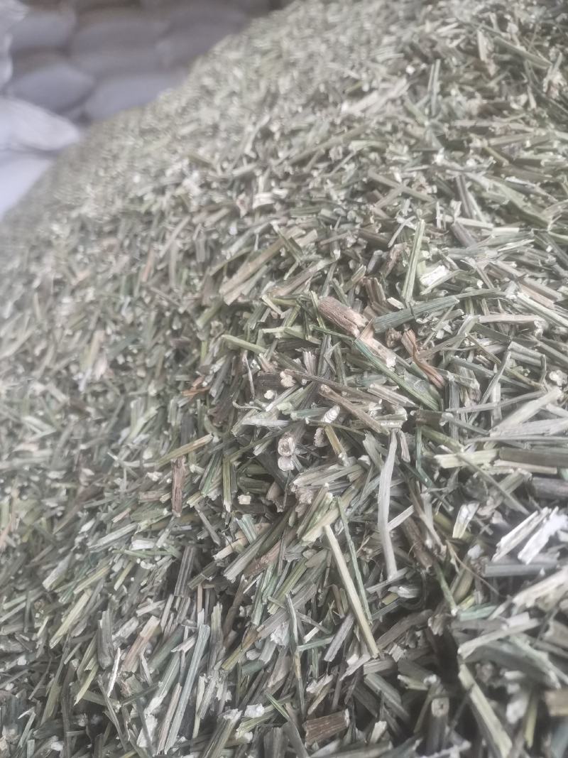 穿心莲