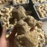 倒苗甜黄精鸡头黄精一手货源供应量大从优