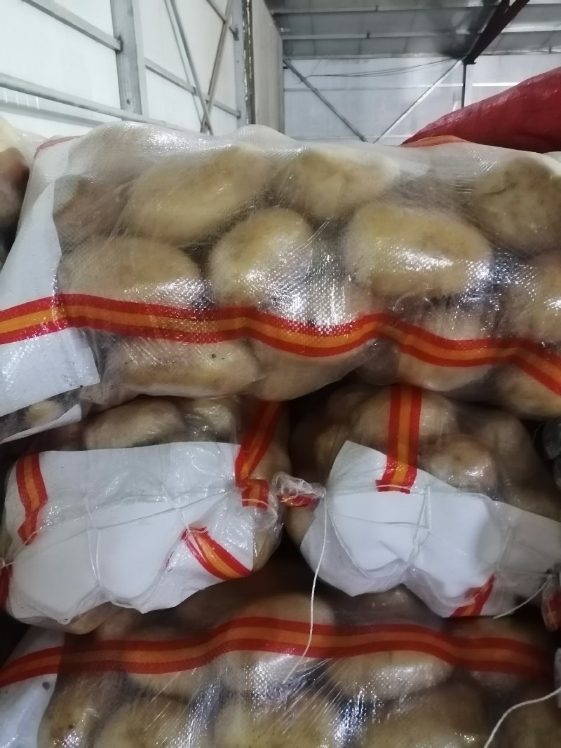 河北沽源县优质黄皮黄心土豆大量供应中！