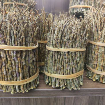 霍山石斛,浙江石斛,铁皮石斛干条。捆条
