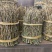 霍山石斛,浙江石斛,铁皮石斛干条。捆条