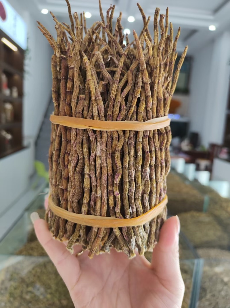 霍山石斛，浙江石斛，铁皮石斛干条。捆条