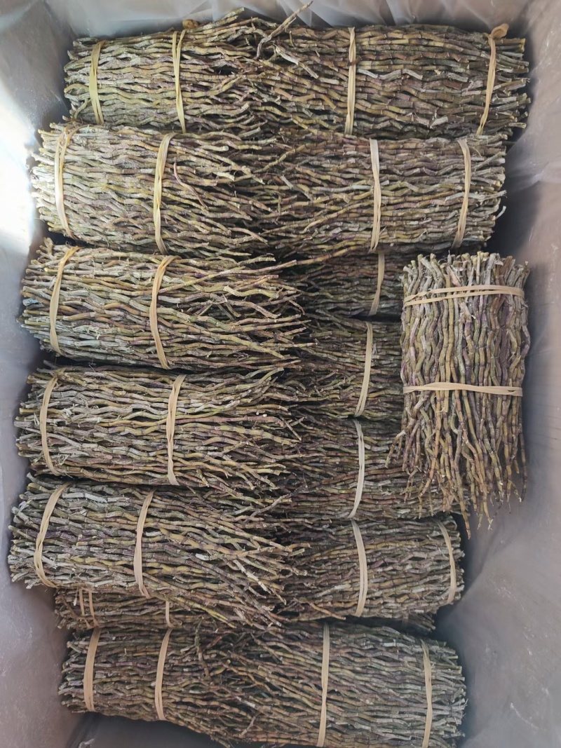霍山石斛，浙江石斛，铁皮石斛干条。捆条