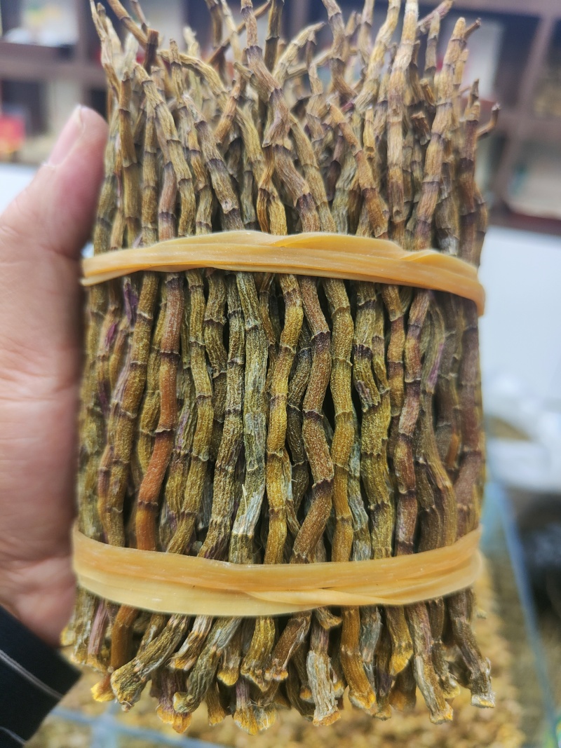 霍山石斛，浙江石斛，铁皮石斛干条。捆条