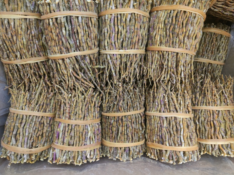 霍山石斛，浙江石斛，铁皮石斛干条。捆条