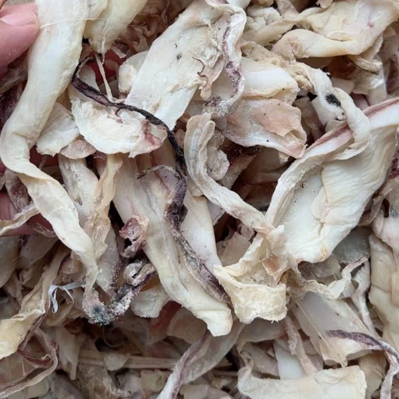 鱿鱼片地摊展会鱿鱼片