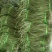 新鲜豆角大量有货产地直发对接全国市场商超电商