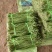 新鲜豆角大量有货产地直发对接全国市场商超电商