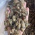 蚝干蚝豉海蛎干蚝肉生蚝干